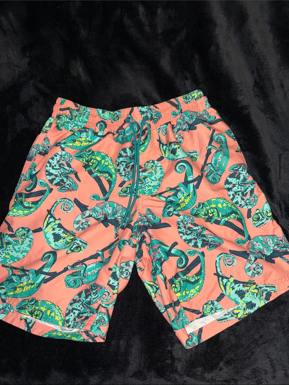 Coral Chameleon Print Swim Shorts